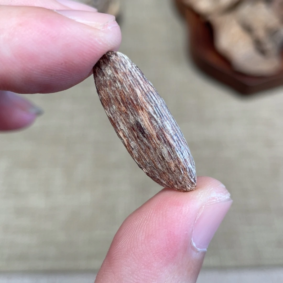 沉香广西博白瓜子料