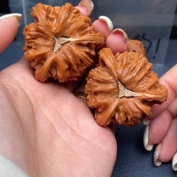 伯***爵吊坠文玩核桃白狮子