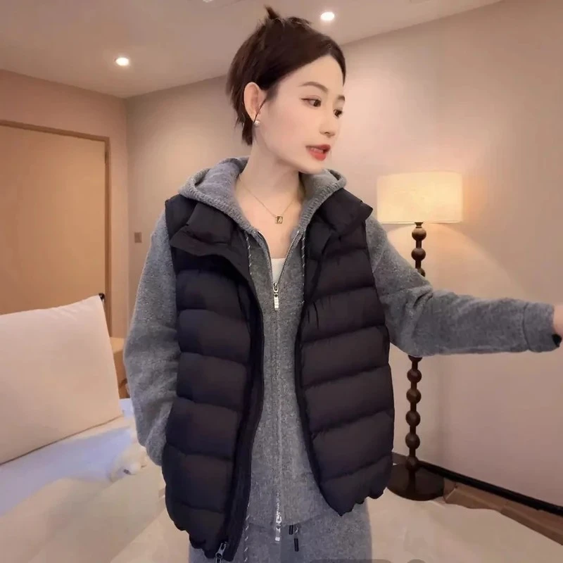 韩版立领龟背排骨棉服马甲女2025秋冬新款无袖百搭坎肩马夹上衣