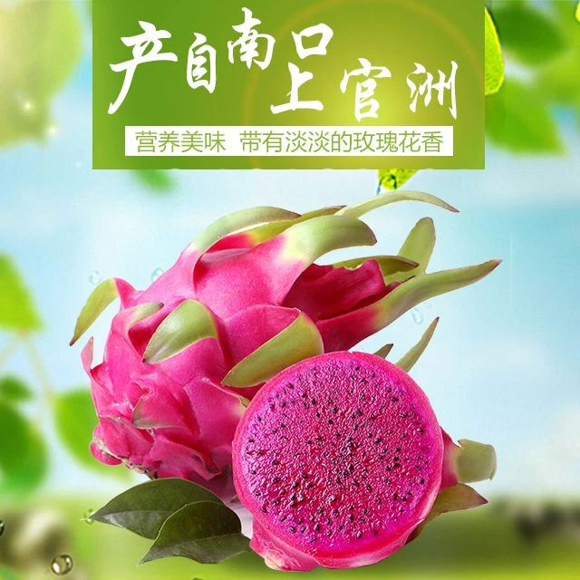 【荆州邮政推荐】珍果情南口红心太空火龙果自然成熟红心火龙果