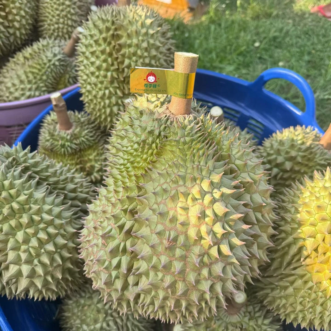 【泰子鲜】空运泰国树熟金枕榴莲 3斤-8斤 鲜榴莲金枕 核小榴莲同城配金枕泰国
