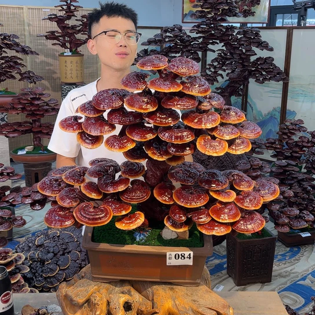 无花朵88888888888888888