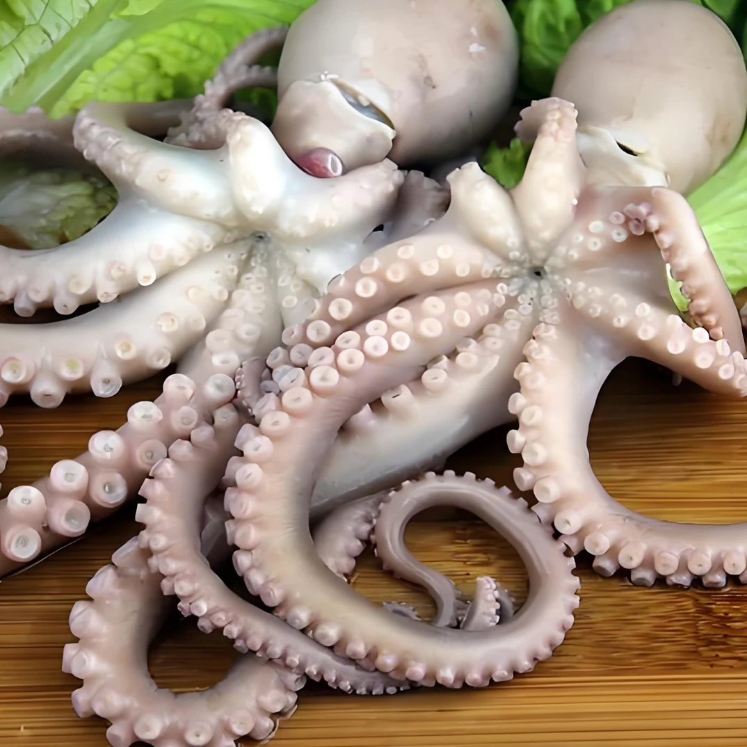 连云港发货海捕鲜活长腿八爪鱼营养美味适合烹饪的海鲜