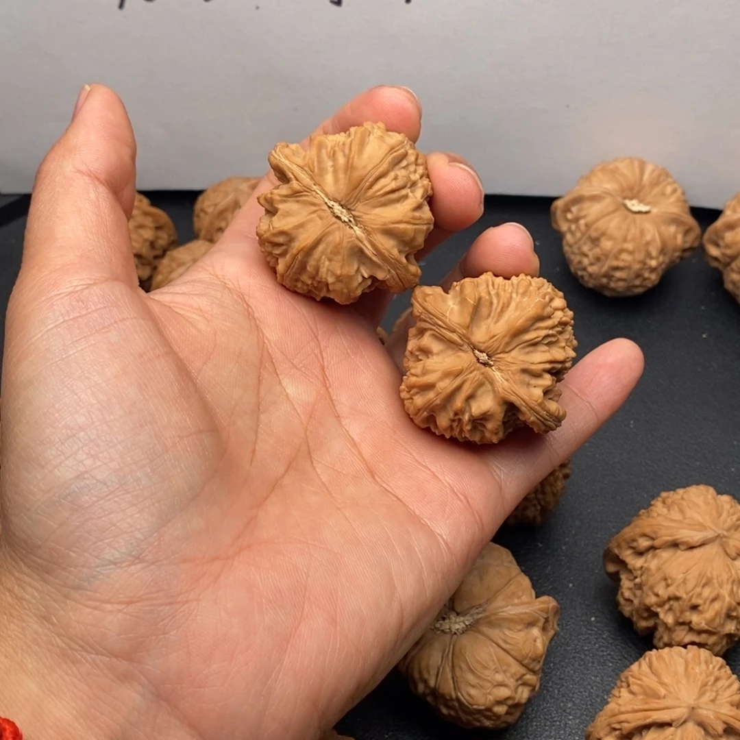 X***m把件文玩核桃40+白狮子