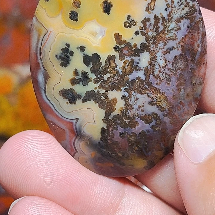 玛瑙/玉髓颈饰合金用*哥