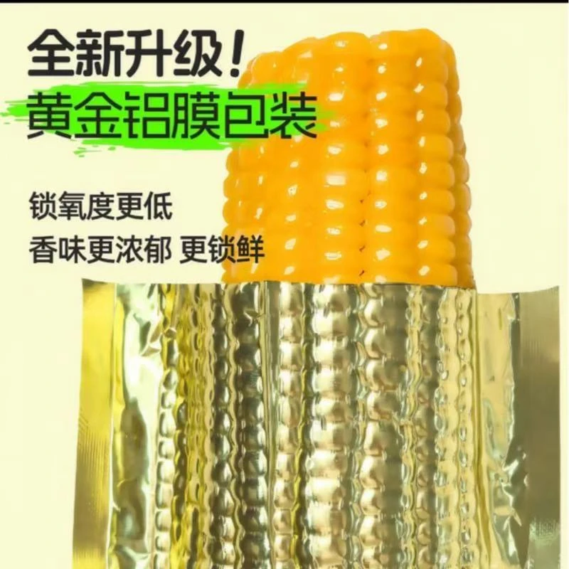 【12支试吃4根】25年头茬东北黄糯玉米金铝包装单根300-350g8斤