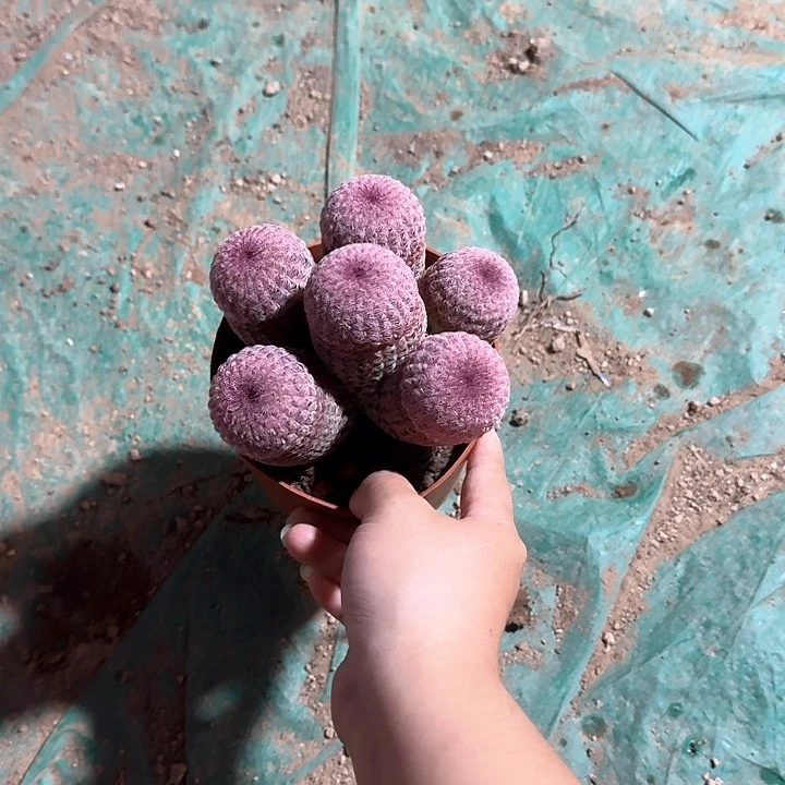 我**场哈哈哈哈哈哈哈哈