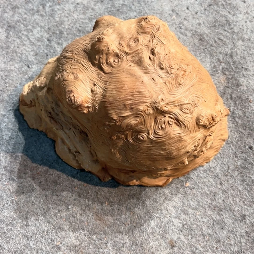 荔枝木暖*荔枝木毛料