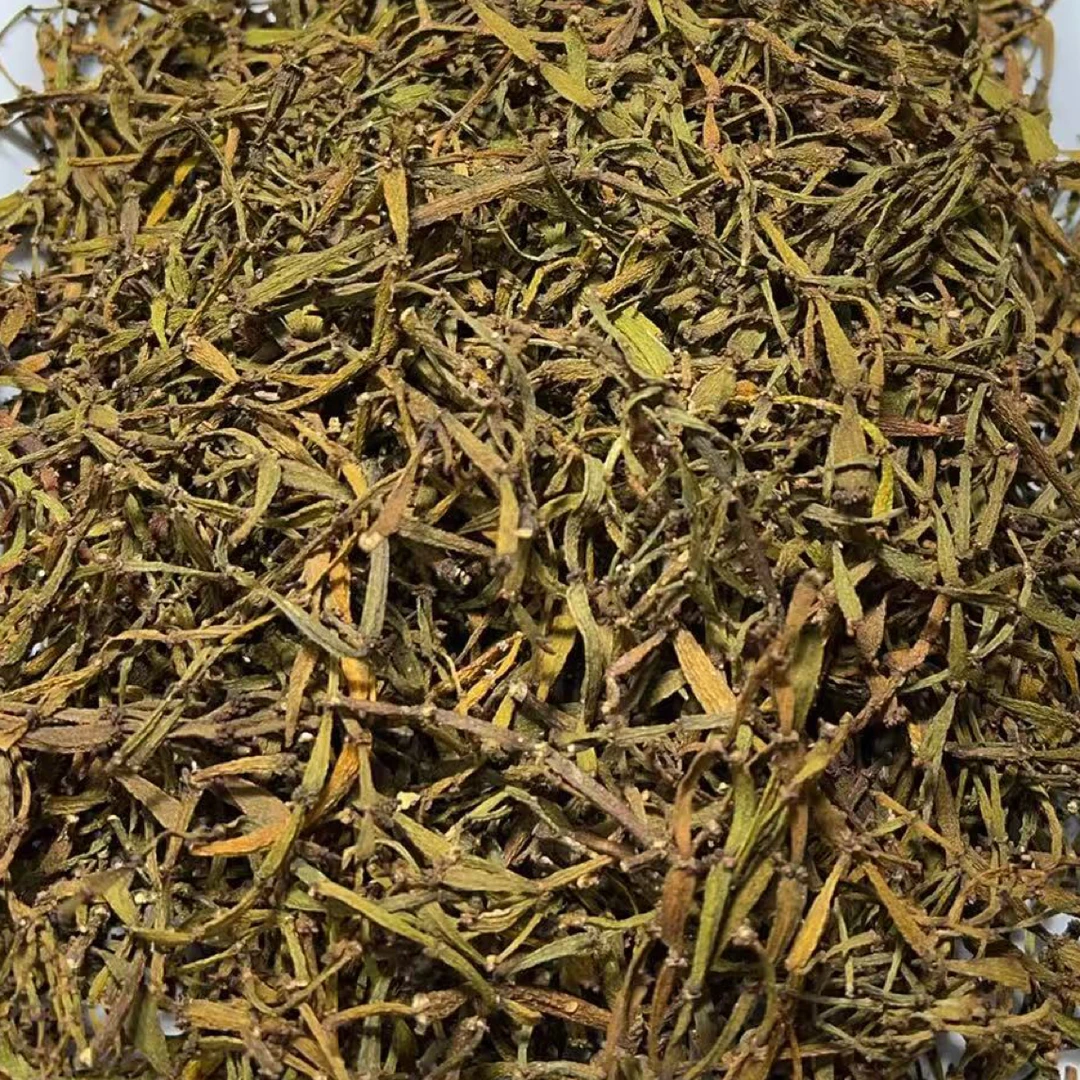 云南螃蟹脚古茶树螃蟹脚茶
