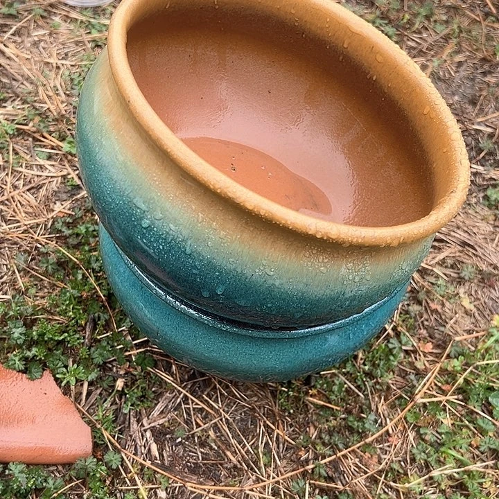 红陶口20高12清仓差