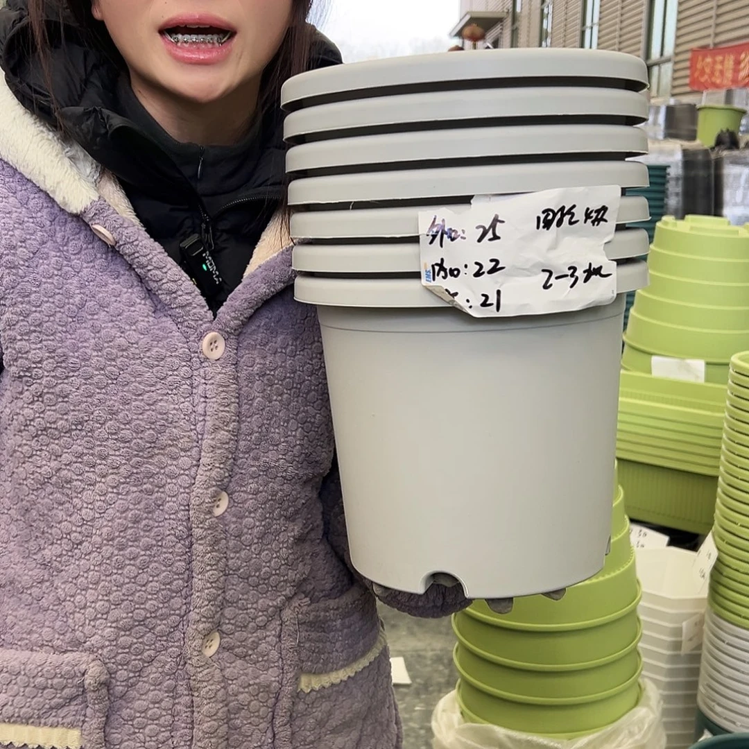 四季盆4#灰白8个无托