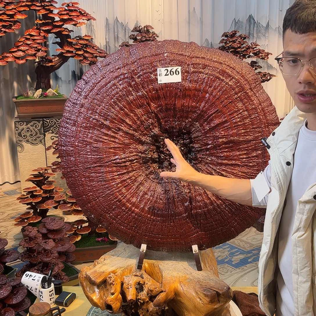 无花朵888888888888