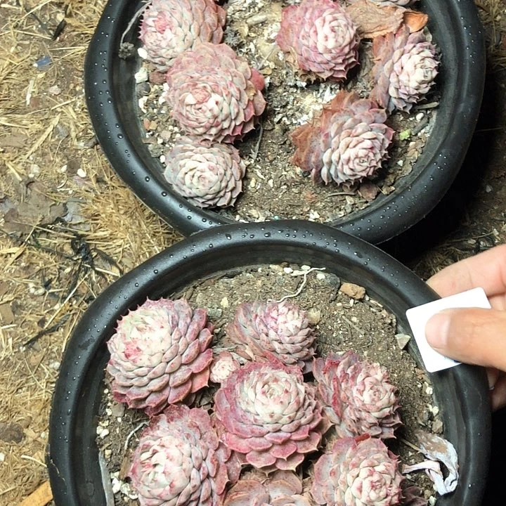 像****?9/10///////////////