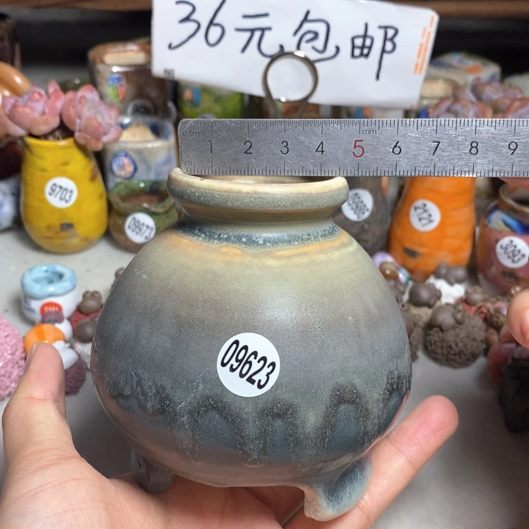 拍5送一个小礼物
