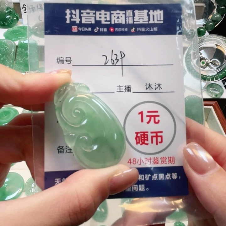 石英质玉未镶嵌颈饰