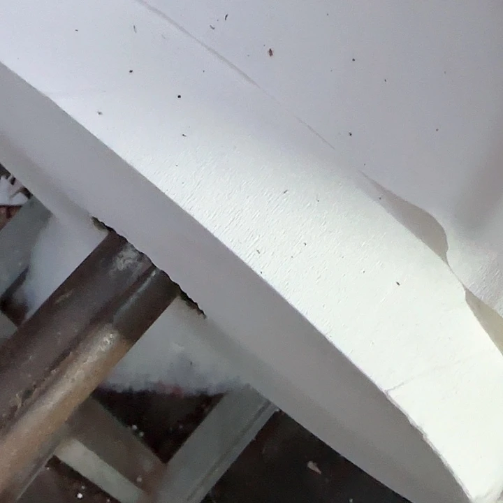 保温箱青蛙王子1111