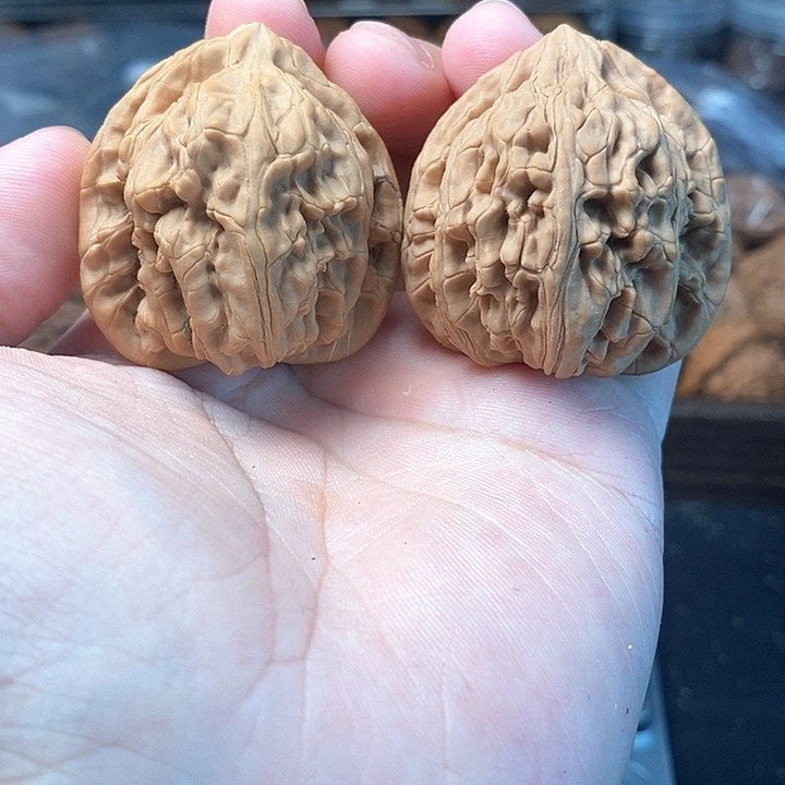 1文玩核桃龙门柱40-253