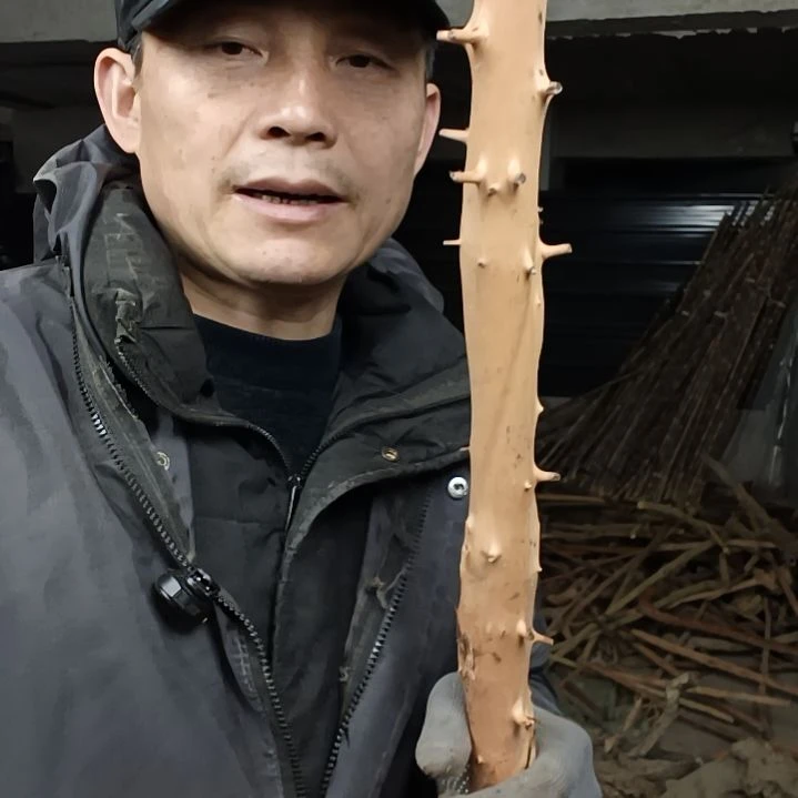 稳定木哈*檬檬木半成品原材料