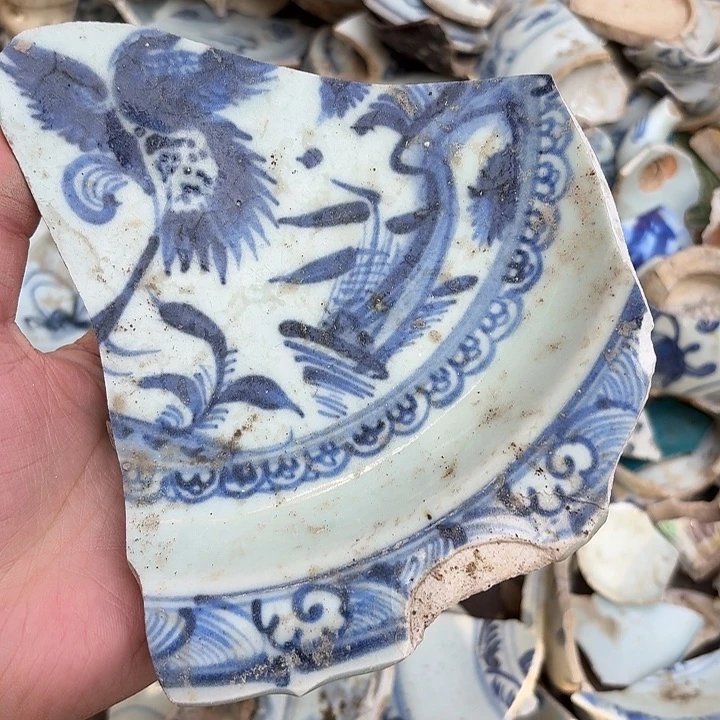 瓷片瓷片标本，顺丰包邮