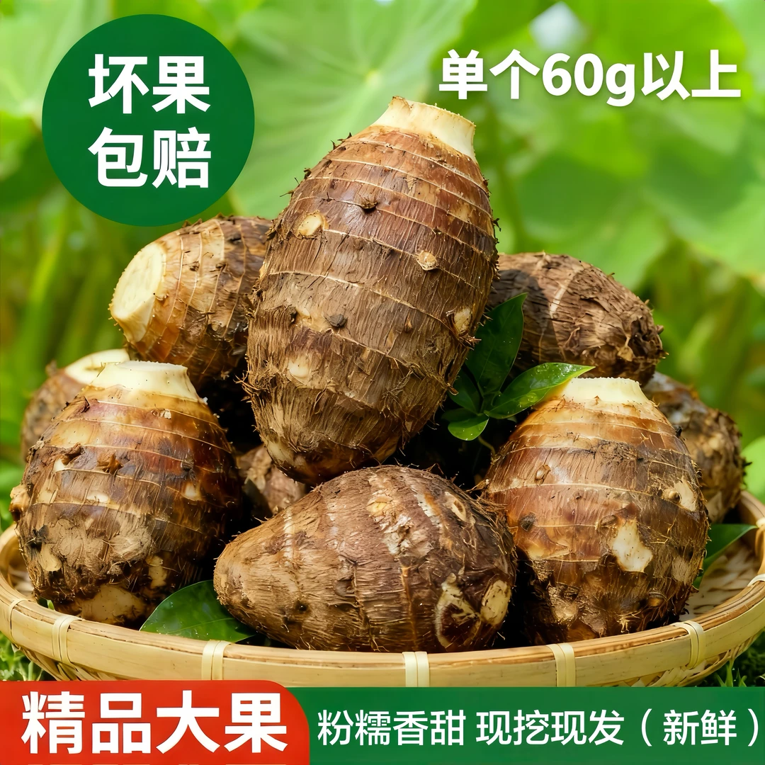 【单果60g以上】江西现挖新鲜红芽芋头5斤3斤芋头农家现挖芋艿芋子