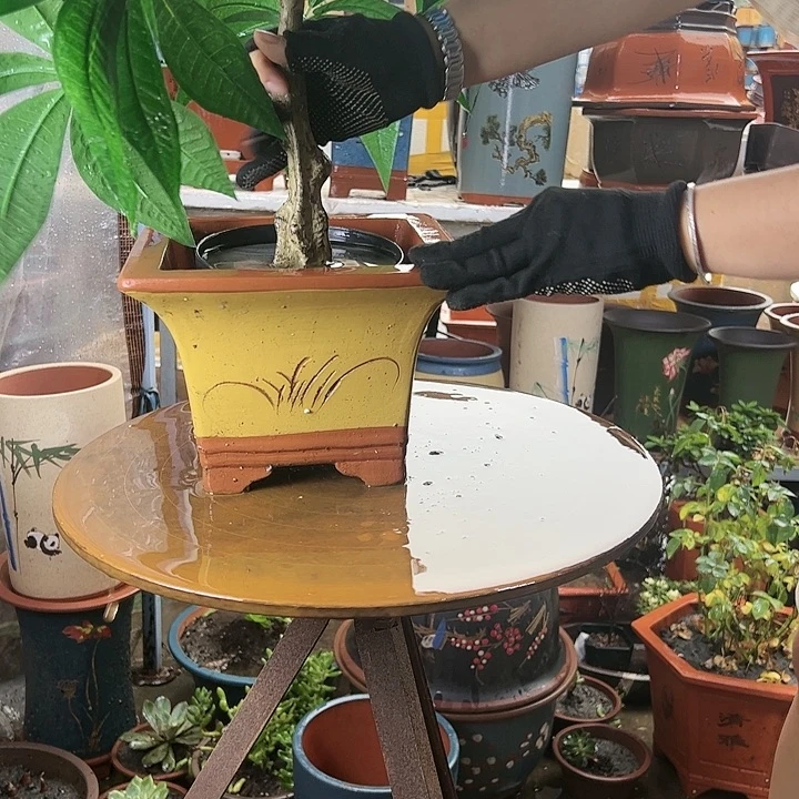 宜兴紫砂花盆花盆A1