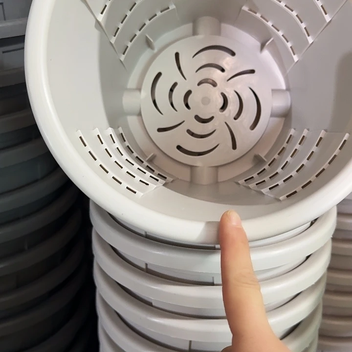 测2灰白无托5个特价