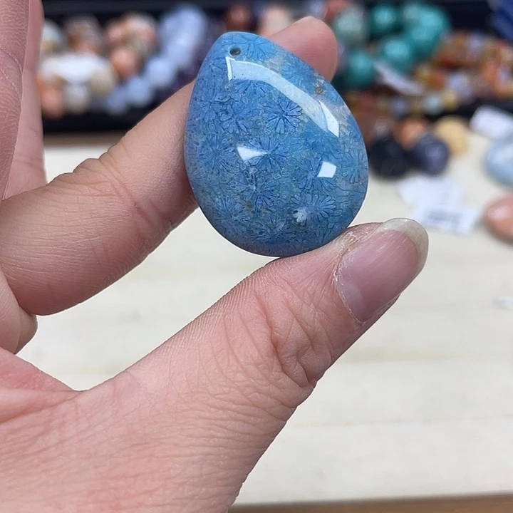 未镶嵌手串硅化珊瑚（珊瑚玉）510