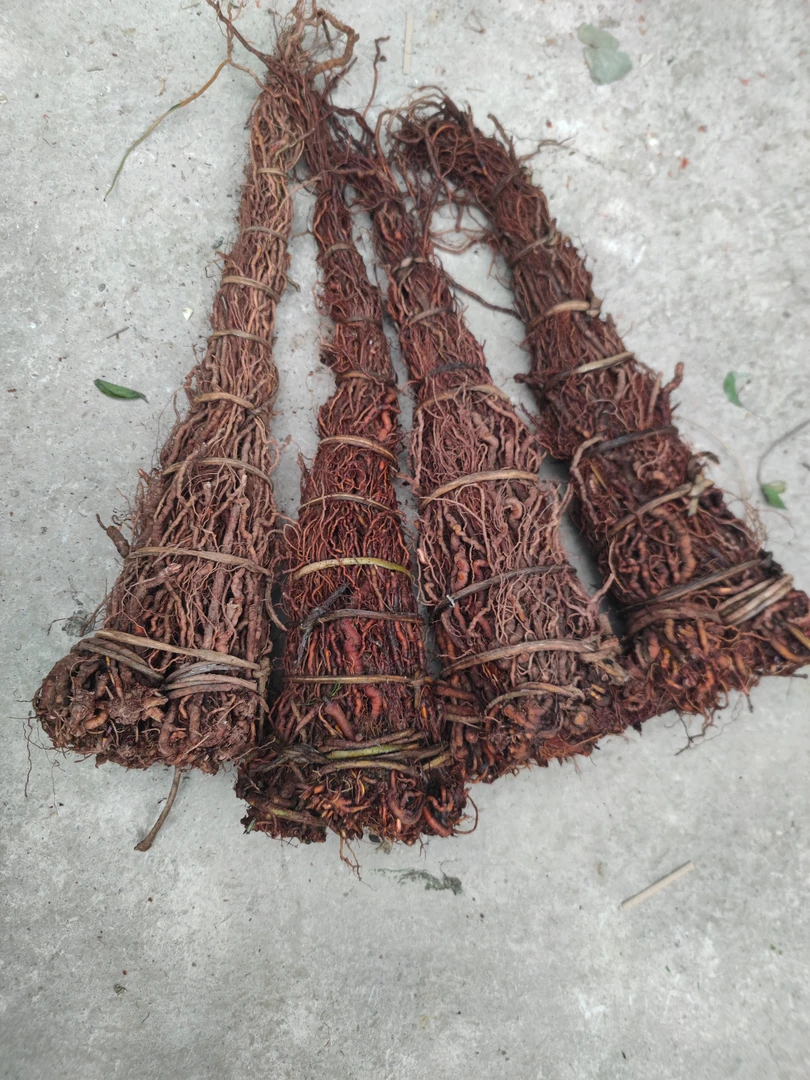 贵州关岭珍姐下山货