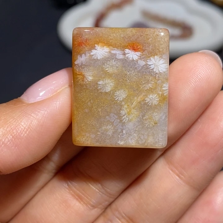 【闪购商品】未镶嵌珊瑚玉硅化玉