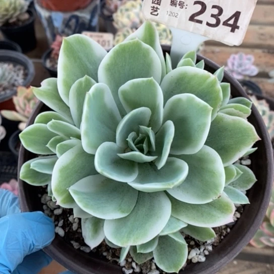 234一一一一一一一一一