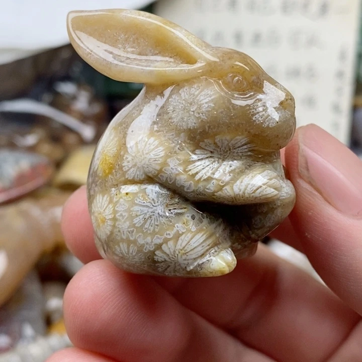 硅化珊瑚（珊瑚玉）未镶嵌颈饰