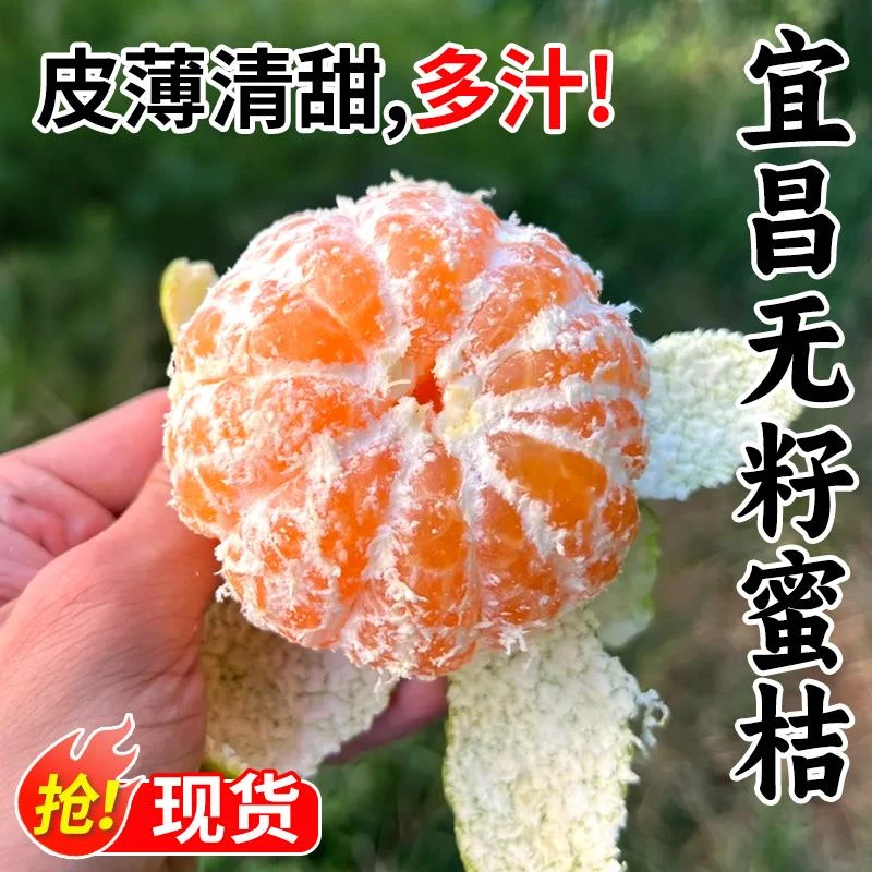 宜昌无籽蜜橘.斤新鲜蜜桔当季现摘柑橘小青绿皮水果整箱包邮顺丰