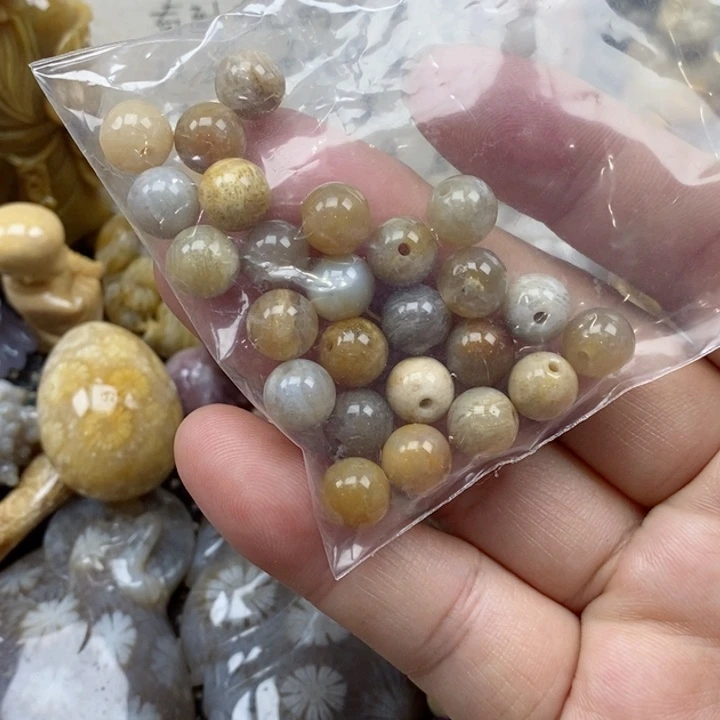 颈饰未镶嵌硅化珊瑚（珊瑚玉）