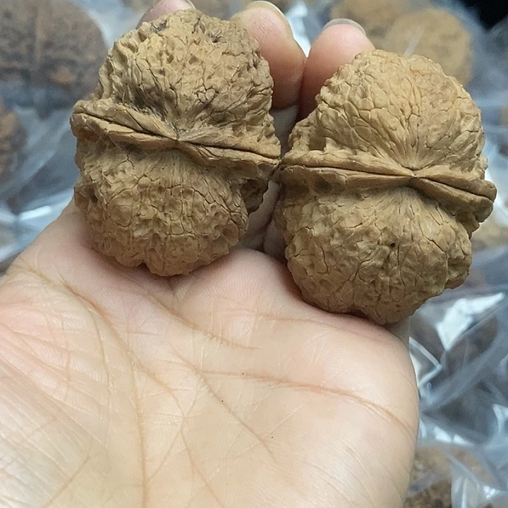 木质类云南铁核桃+18