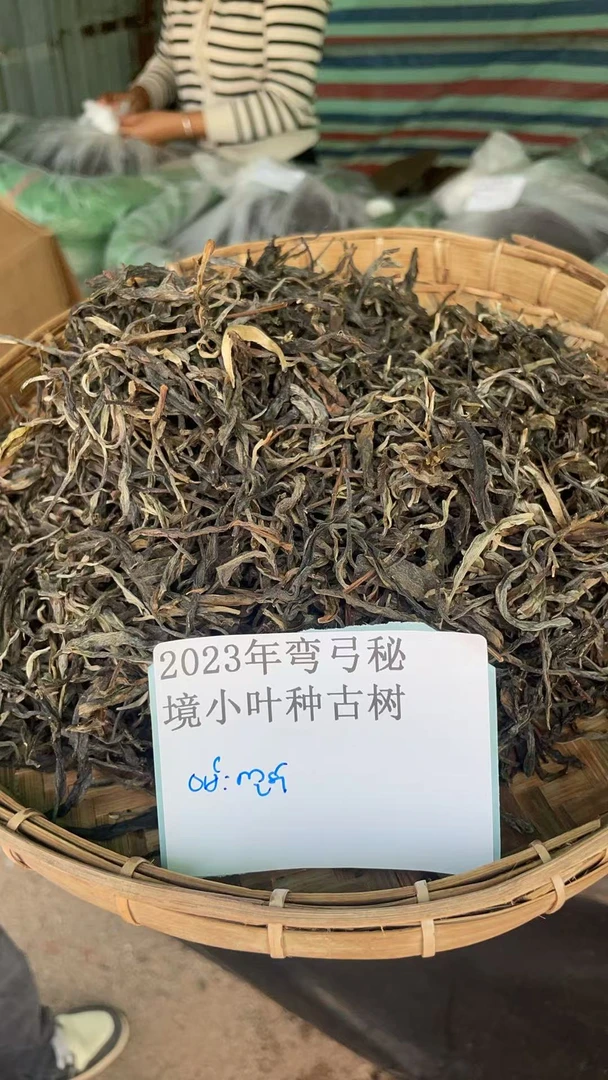 古树散茶23年弯弓秘境小叶种古树ARSFi0828XW-777