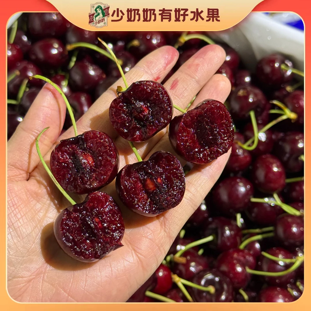 美国进口skeena车厘子9.5R 2-4斤 风味感浓【顺丰包邮+坏果包赔】