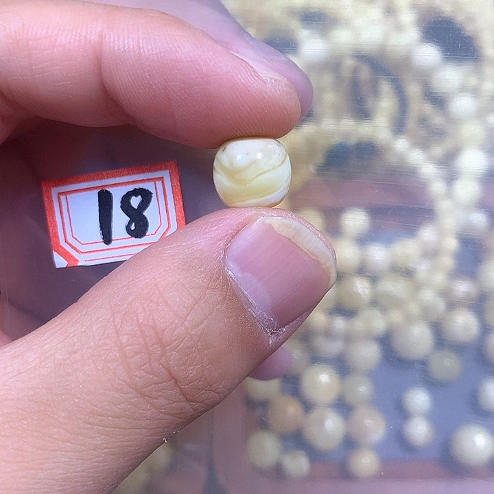 裸石琥珀未镶嵌11