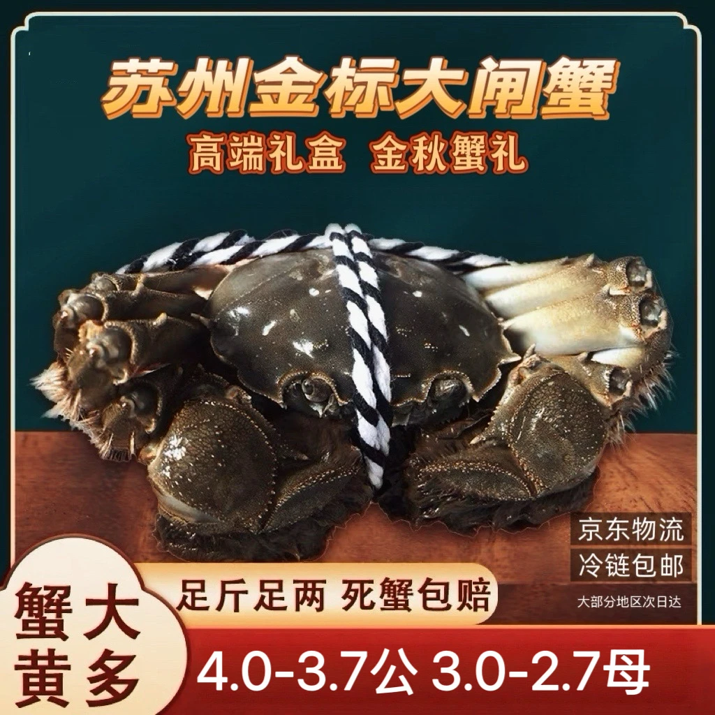 【苏州金标活蟹】大闸蟹公母组合公4~3.7两+母3~2.7两礼盒装冷链包邮8+2到手5对10只活蟹现捕现捞海鲜