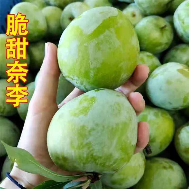 正宗湖南永州奈李当季新鲜水果脆甜现摘奈李