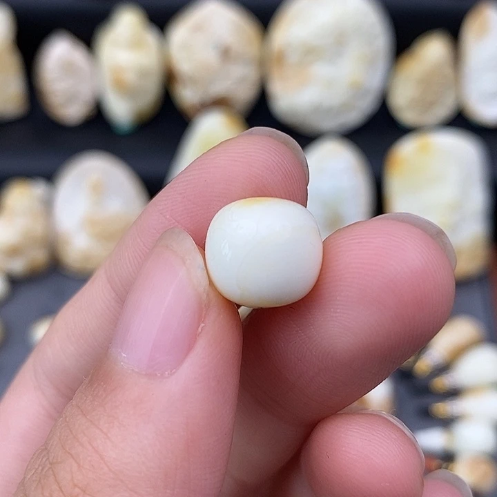 未镶嵌琥珀裸石11/10老邢b460