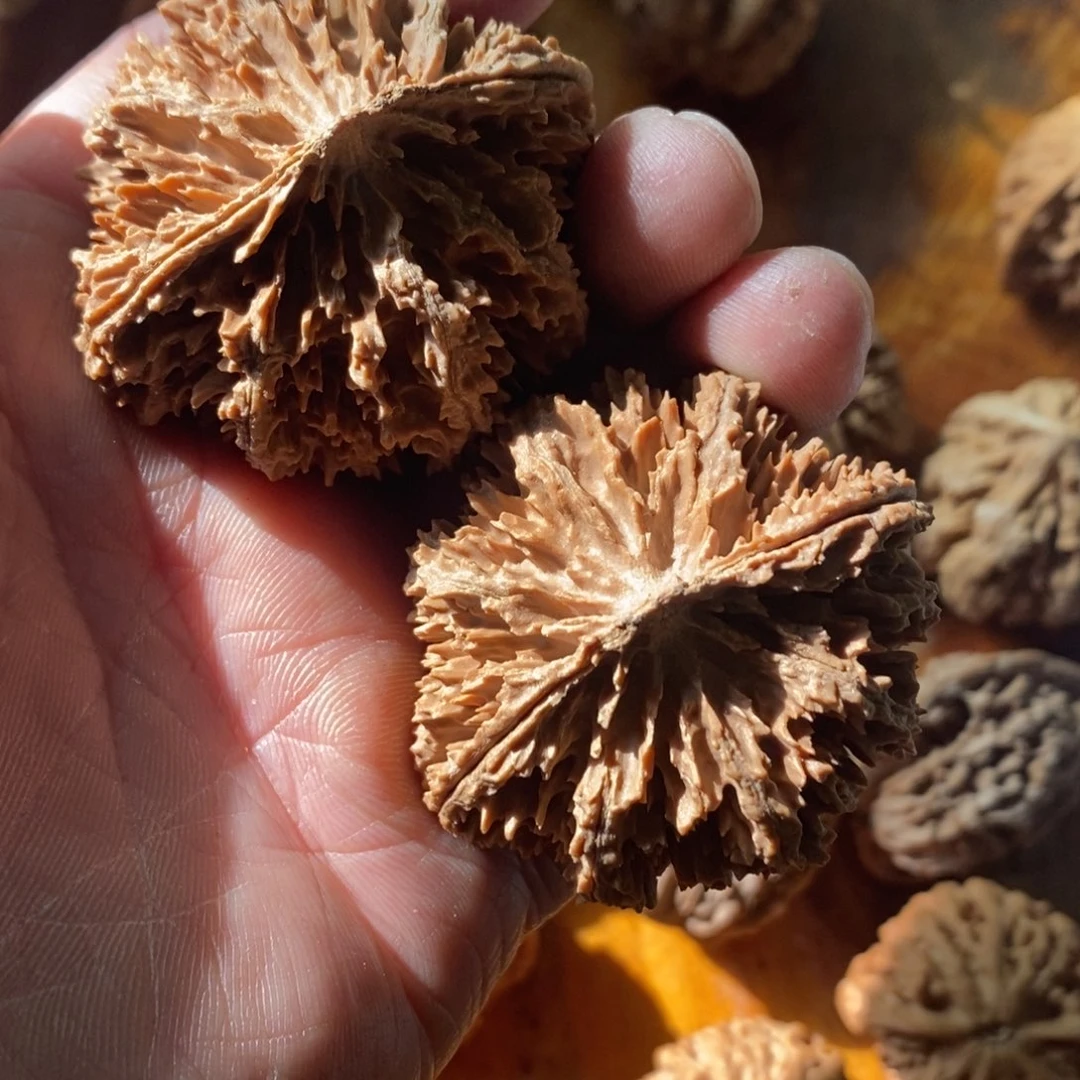 秦岭南侧和东北的一