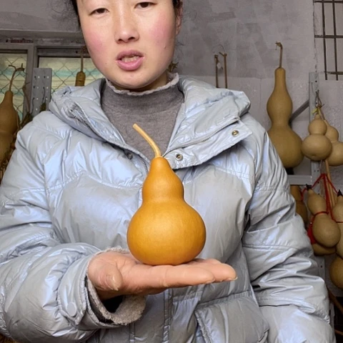 天然植物葫芦文玩