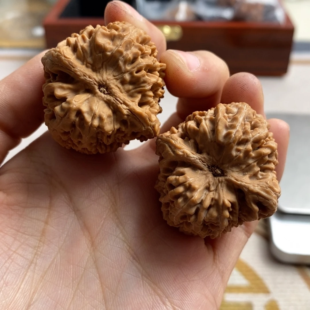 文玩核桃把件?***i大蒜头