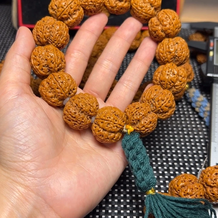手串金刚菩提飞碟帝王花