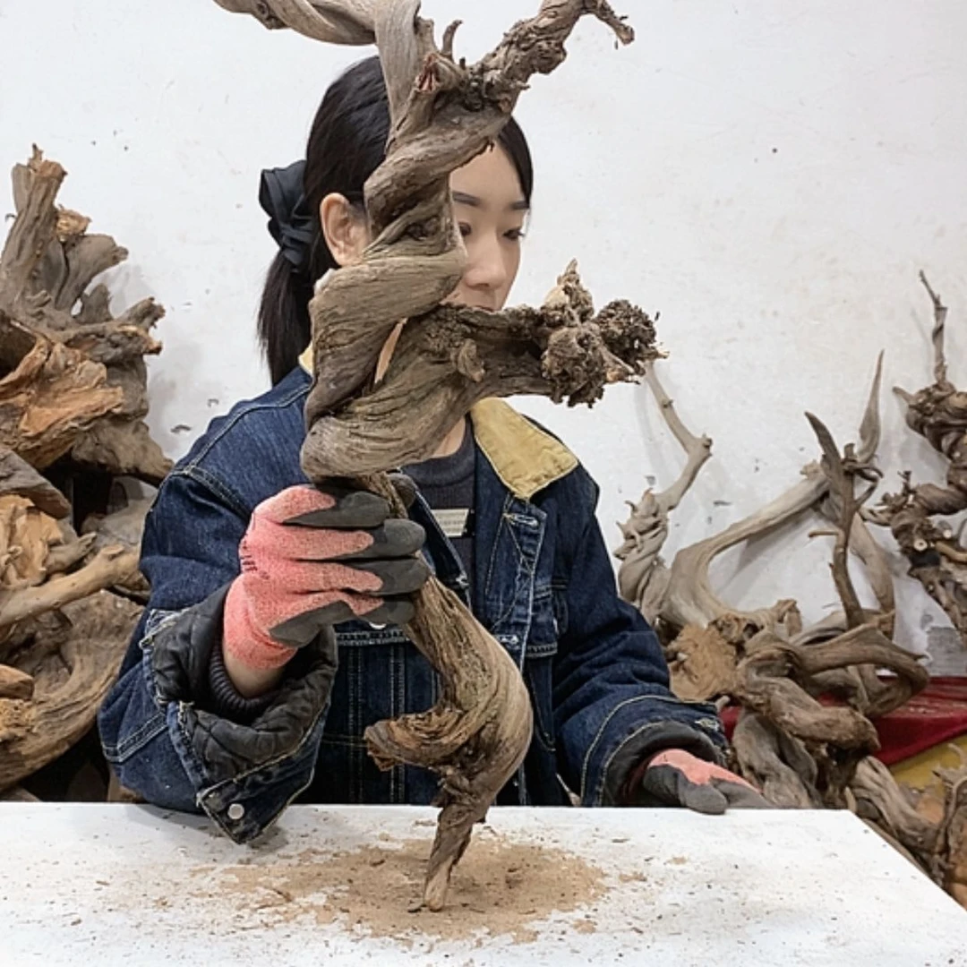 【闪购商品】柏木北**艺我们都是好孩子