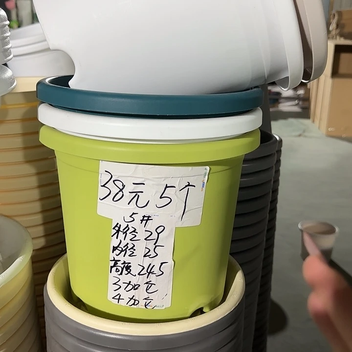 微瑕5#无托果绿5个