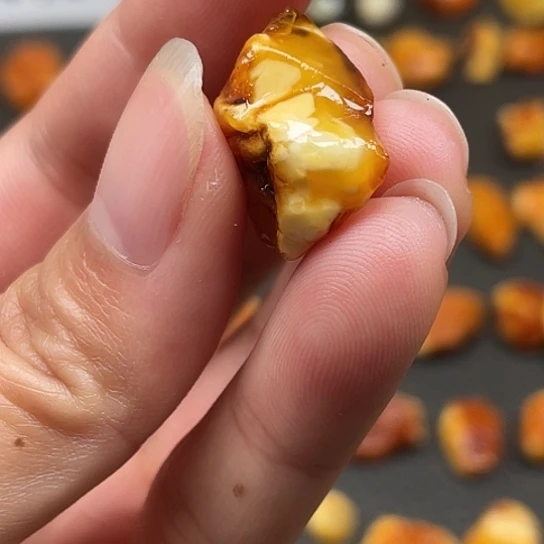 定制琥珀做贝壳金白