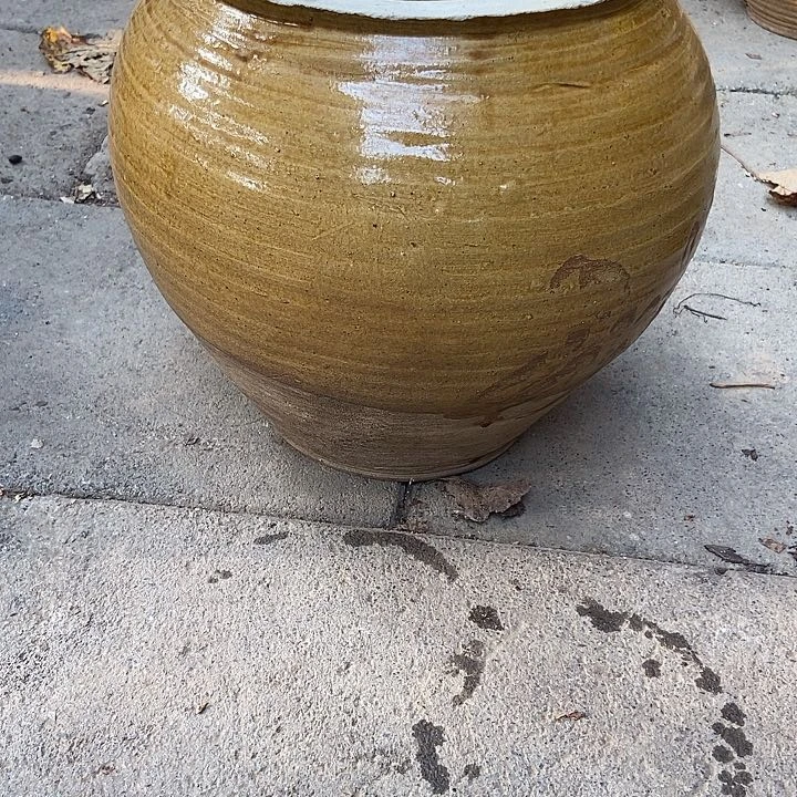 无花朵鲜花和小红花一起