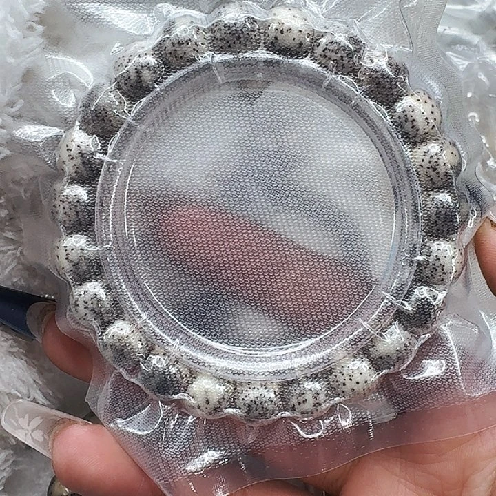 星月菩提手串442尽头卡姿兰大眼睛灰星月菩提10桶单圈