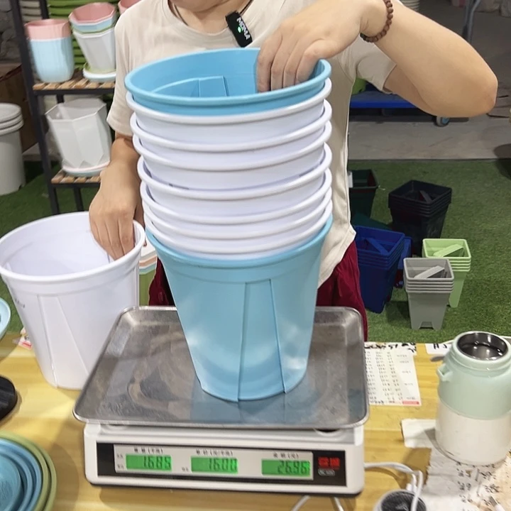 青山盆口21高21白色无托10只